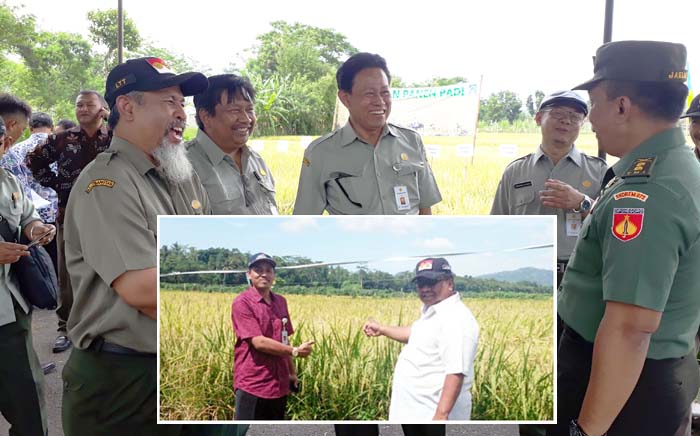 33,6 Ribu Hektar Luas Panen Padi Kebumen, Ali Rachman Ungkap Kiat Sukses Petani